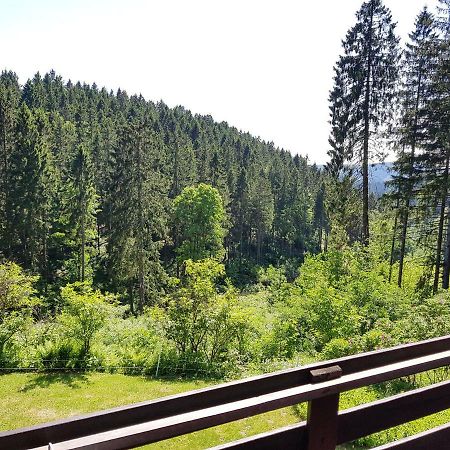 Fewo Waldblick Sankt Andreasberg Luaran gambar